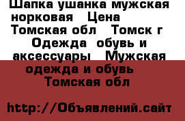 Шапка ушанка мужская норковая › Цена ­ 2 500 - Томская обл., Томск г. Одежда, обувь и аксессуары » Мужская одежда и обувь   . Томская обл.